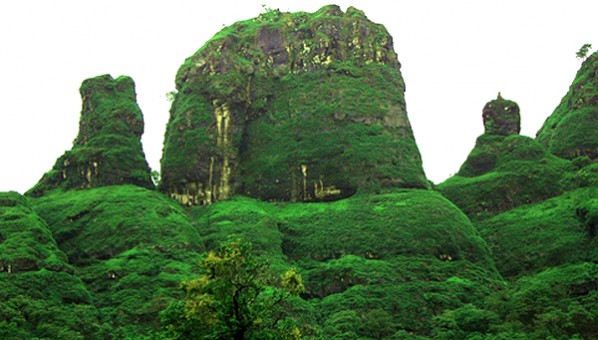 Navranavri
