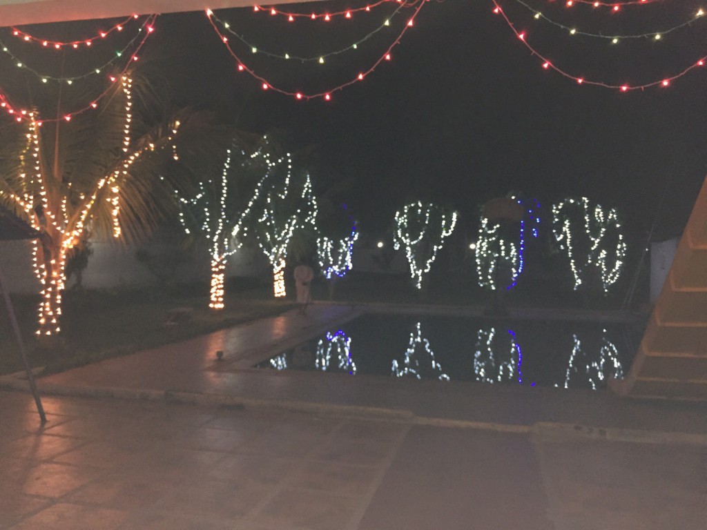 Corporate party at KarjatVilla