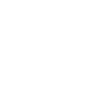 Previous Icon